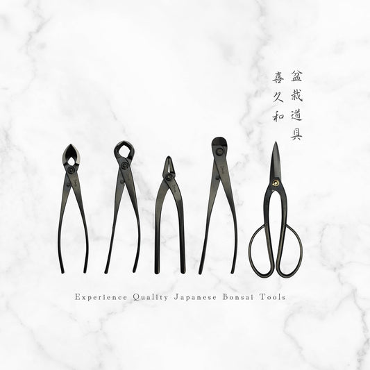 bonsai tools