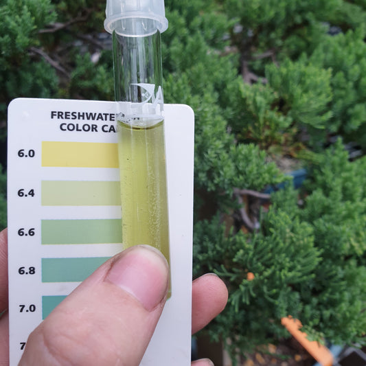 water PH For Bonsai