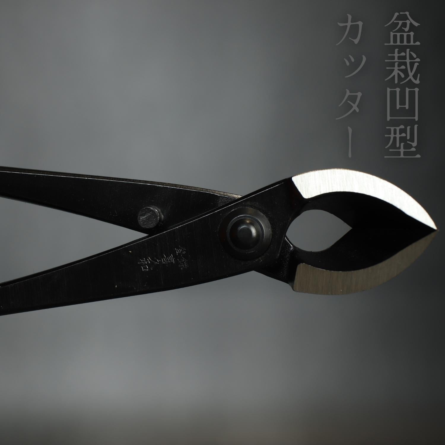 Bonsai Branch Cutters