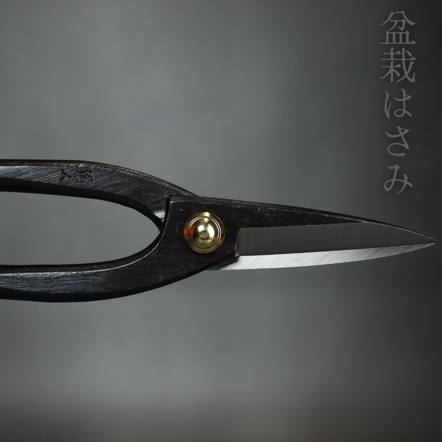 Bonsai Scissors