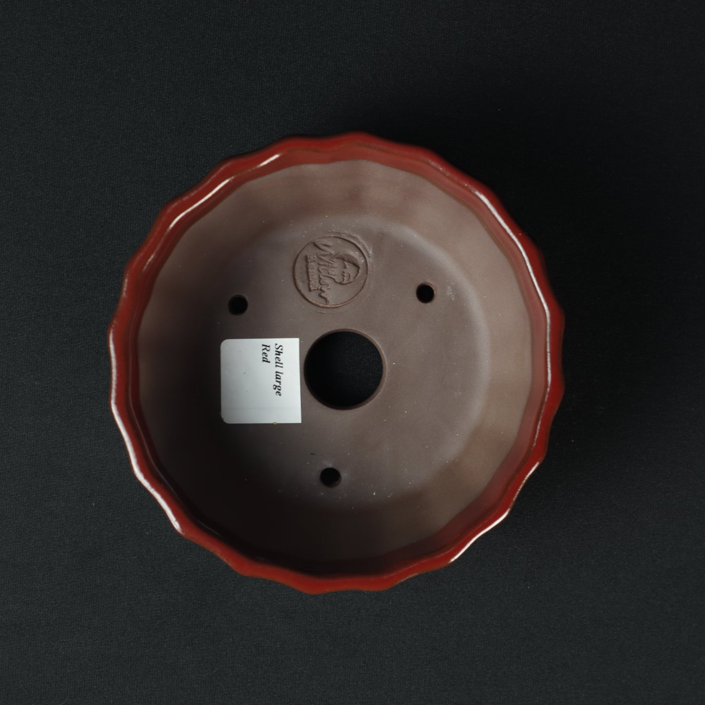 Shell Large Red