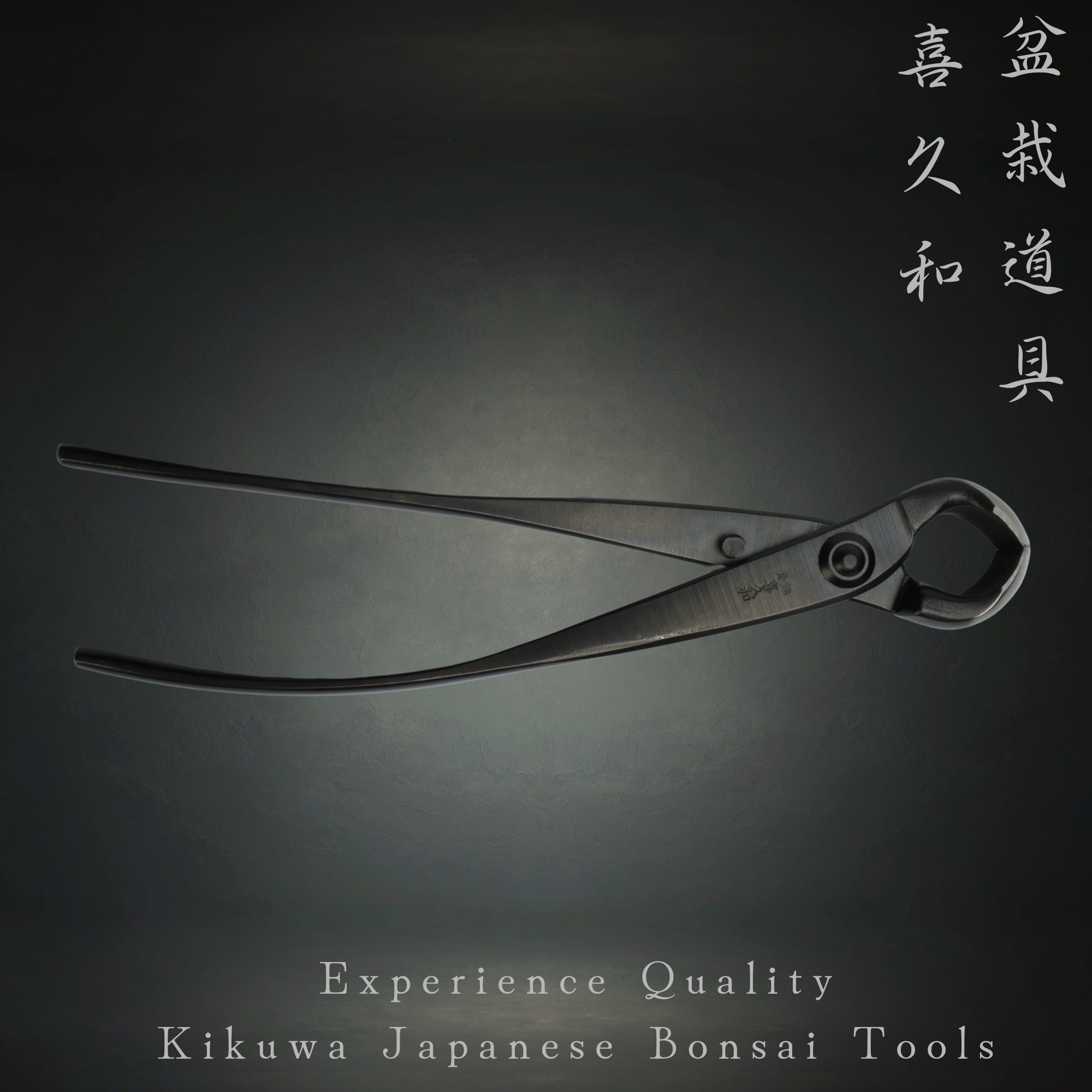 Bonsai Knob Cutter - Japanese Made | Bonsai-En