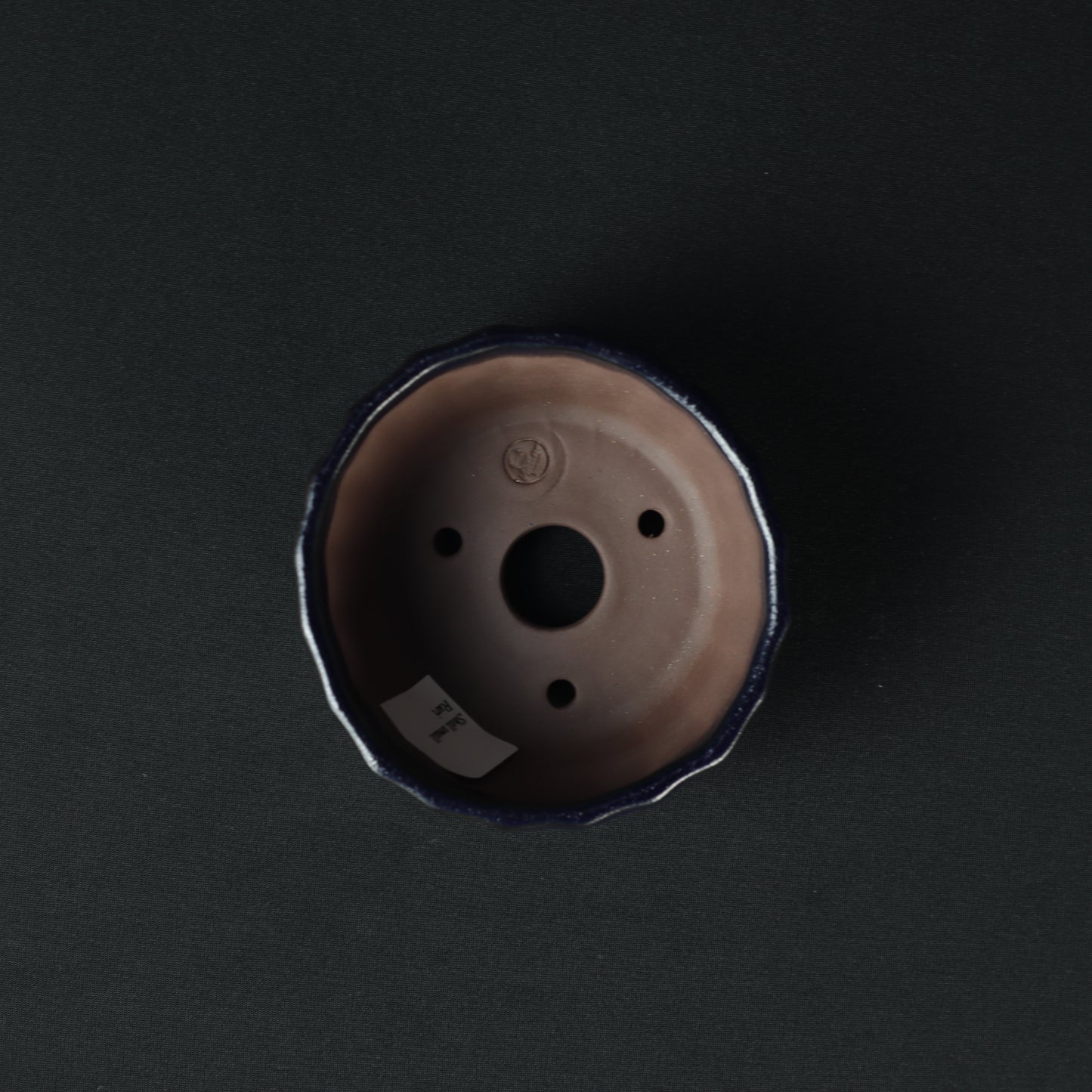 Shell Small Ruri