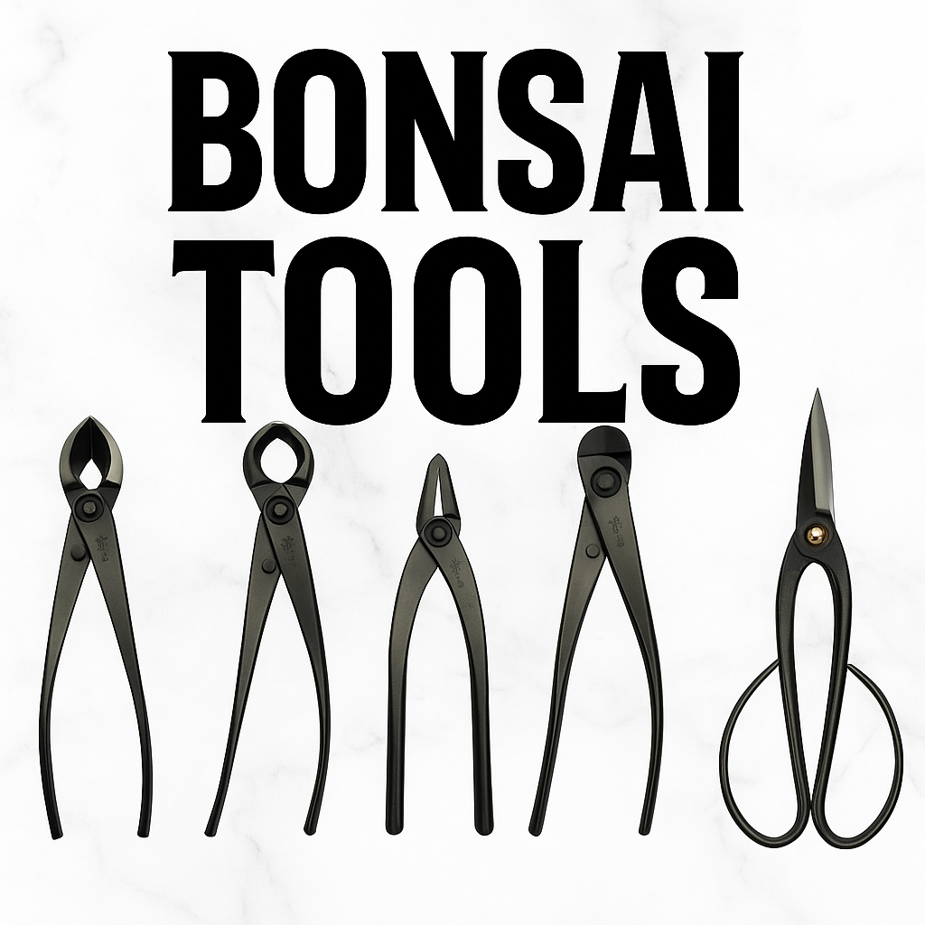 Winter Class 5 Live Replay Digital Download - Bonsai Tools