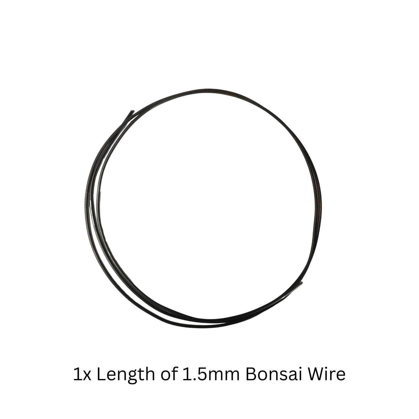 Make Your Own Bonsai Kit ( Ficus Benjamina + Soft Rectangle pot )