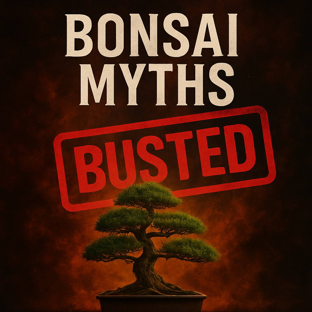 Spring Class 4 Live Replay Digital Download - Bonsai Myths