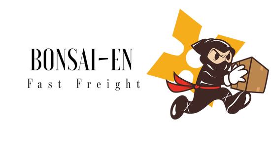 Bonsai Fast Shipping