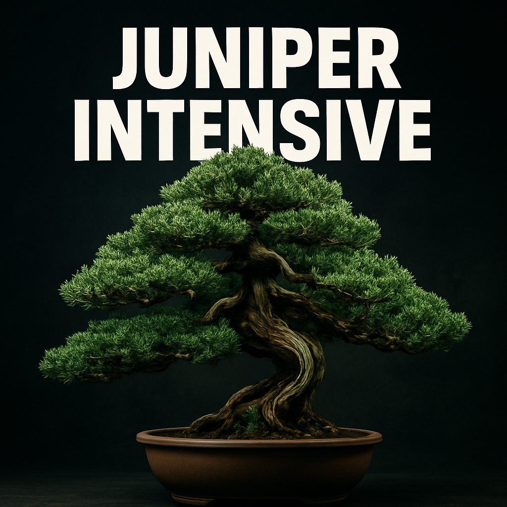 Summer Class 5 Live Replay Digital Download - Juniper Intensive