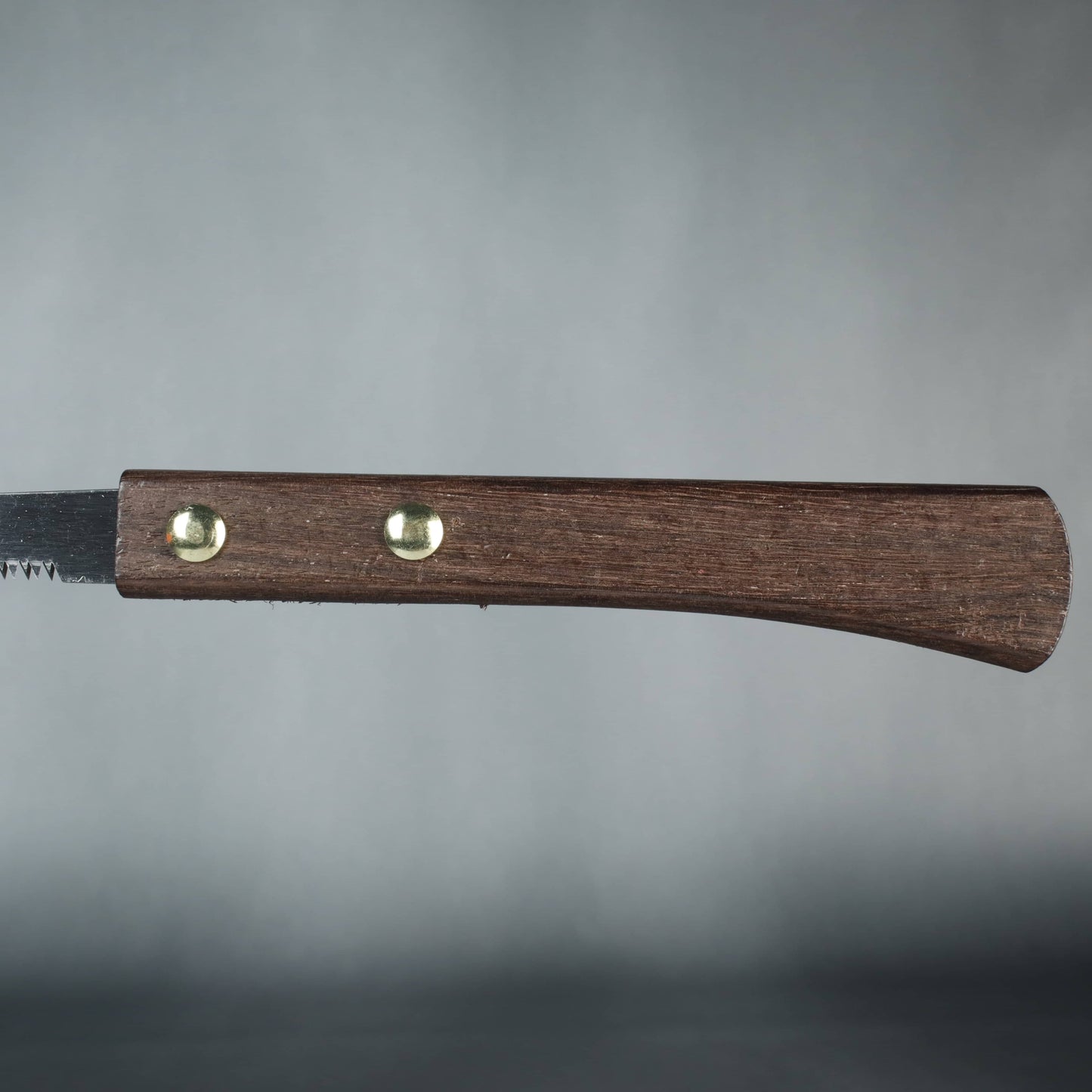 Kikuwa Stainless Steel Bonsai Saw 110mm