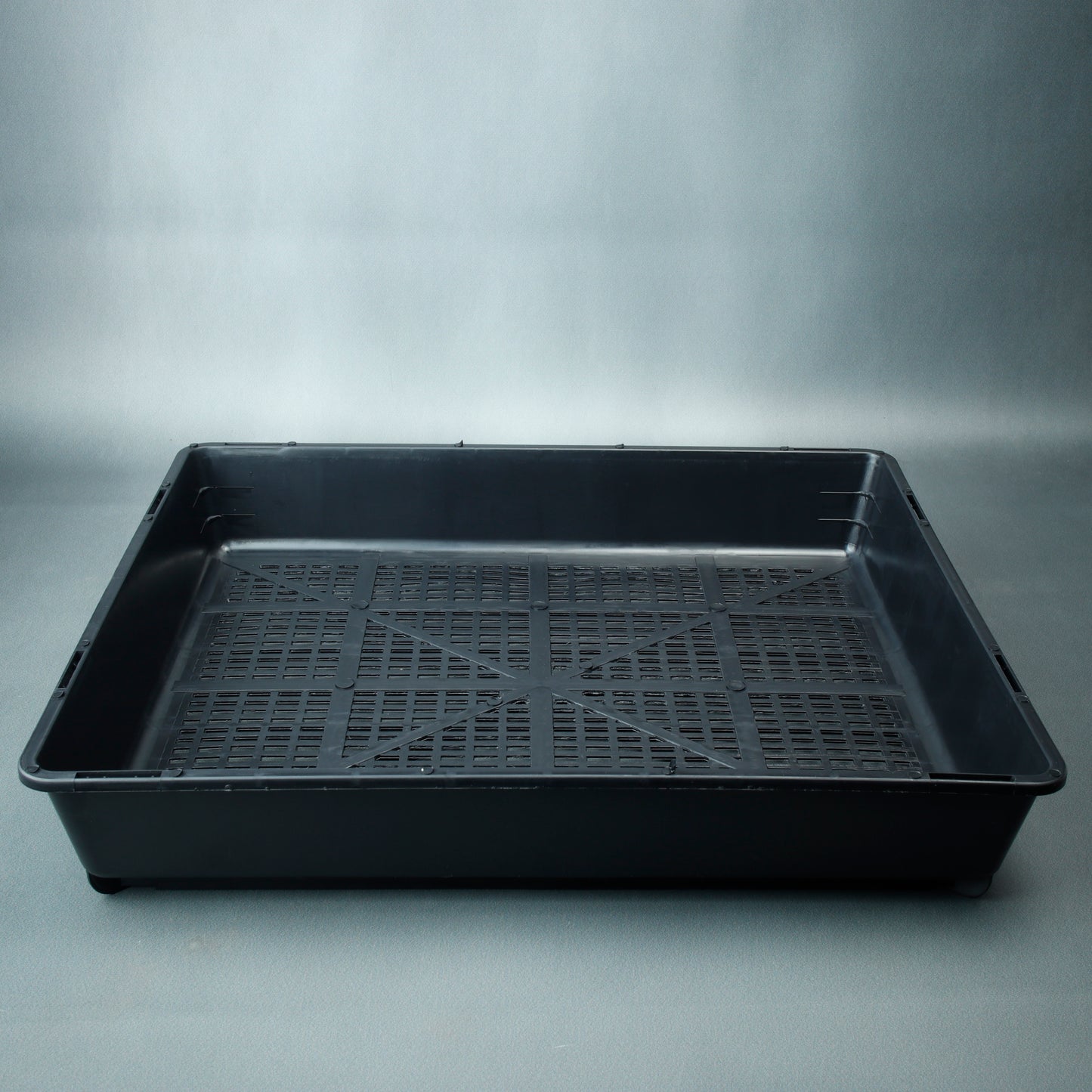 Seed Raising And Cuttings Tray