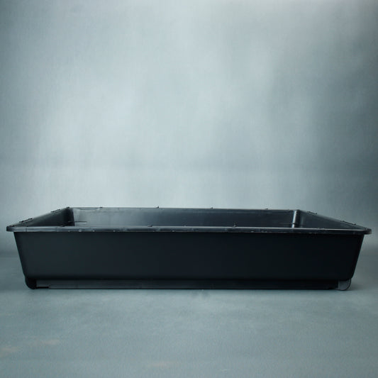 Seed Raising And Cuttings Tray