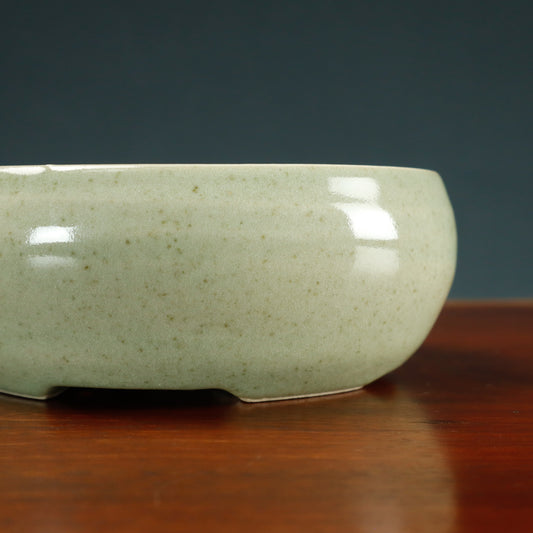 Canberra Bonsai Society 40th Anniversary Pat Kennedy Commemorative Pot