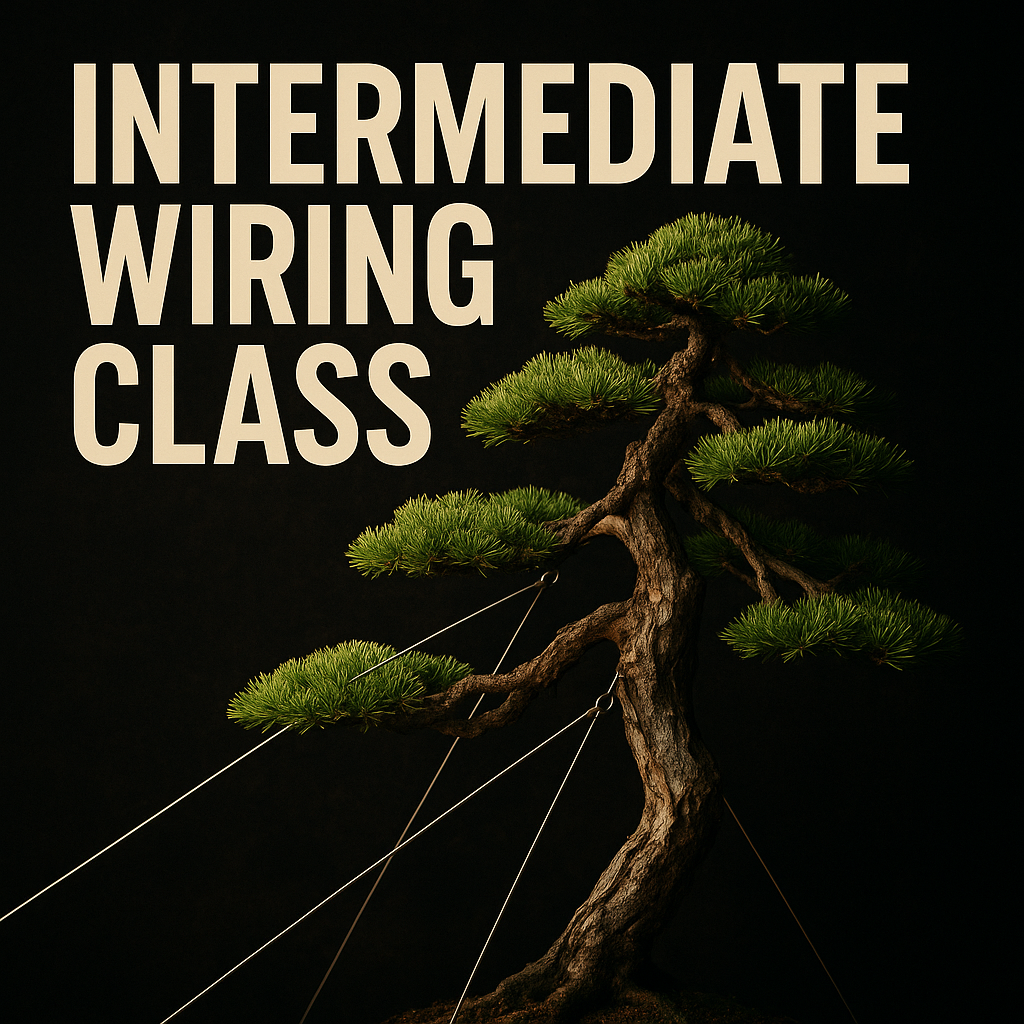 Summer Class 4 Live Replay Digital Download - Intermediate Wiring