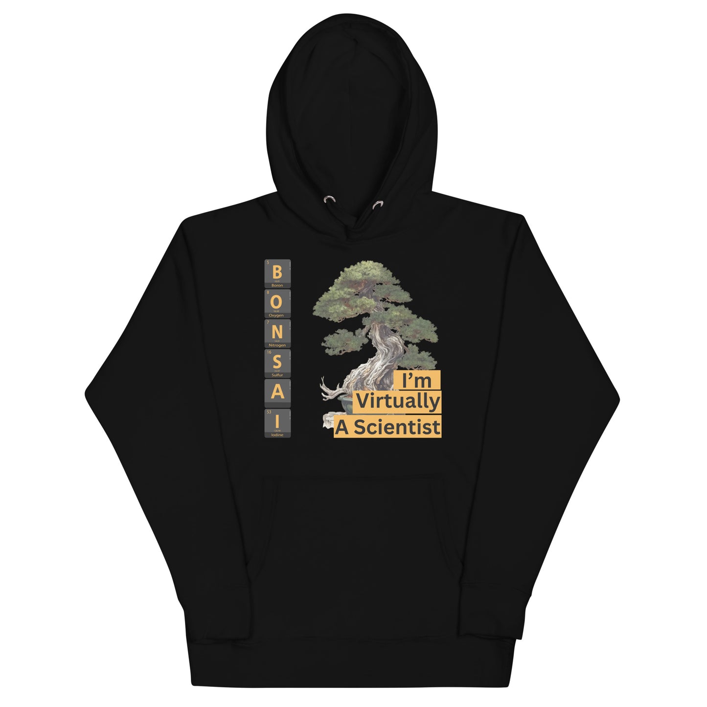 I'm Virtually A Scientist Hoodie