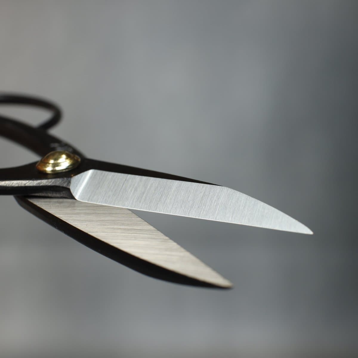 200mm Bonsai Scissors blade
