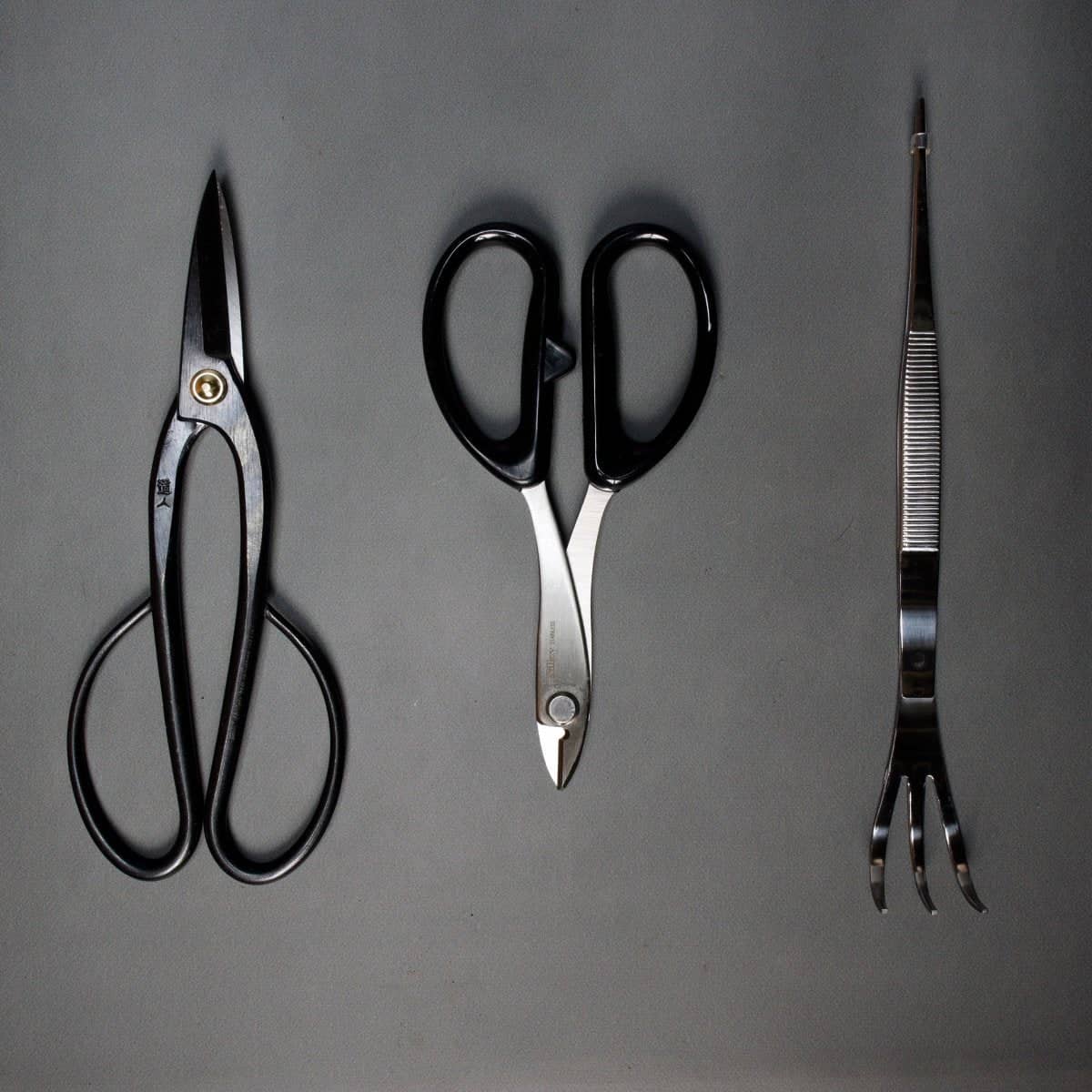 Beginner Bonsai Tool Kit
