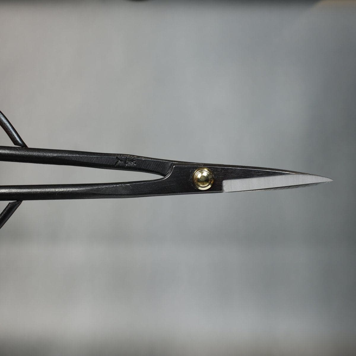 Professional Bud Shears closed blade