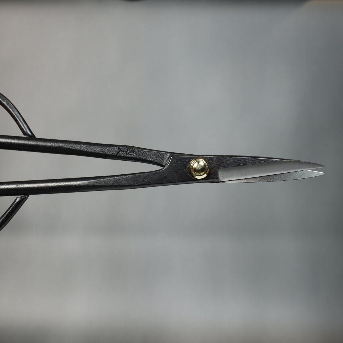 Professional Bud Shears open blade