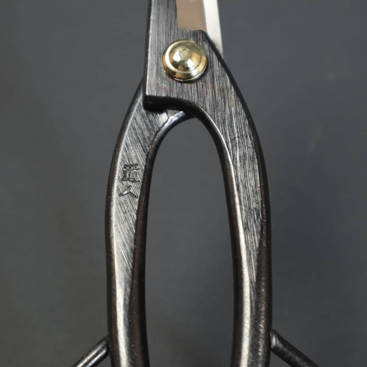 Beginner Bonsai Tool Kit