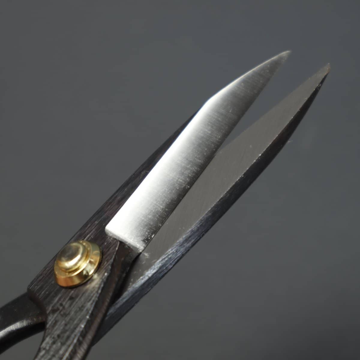 Beginner Bonsai Tool Kit
