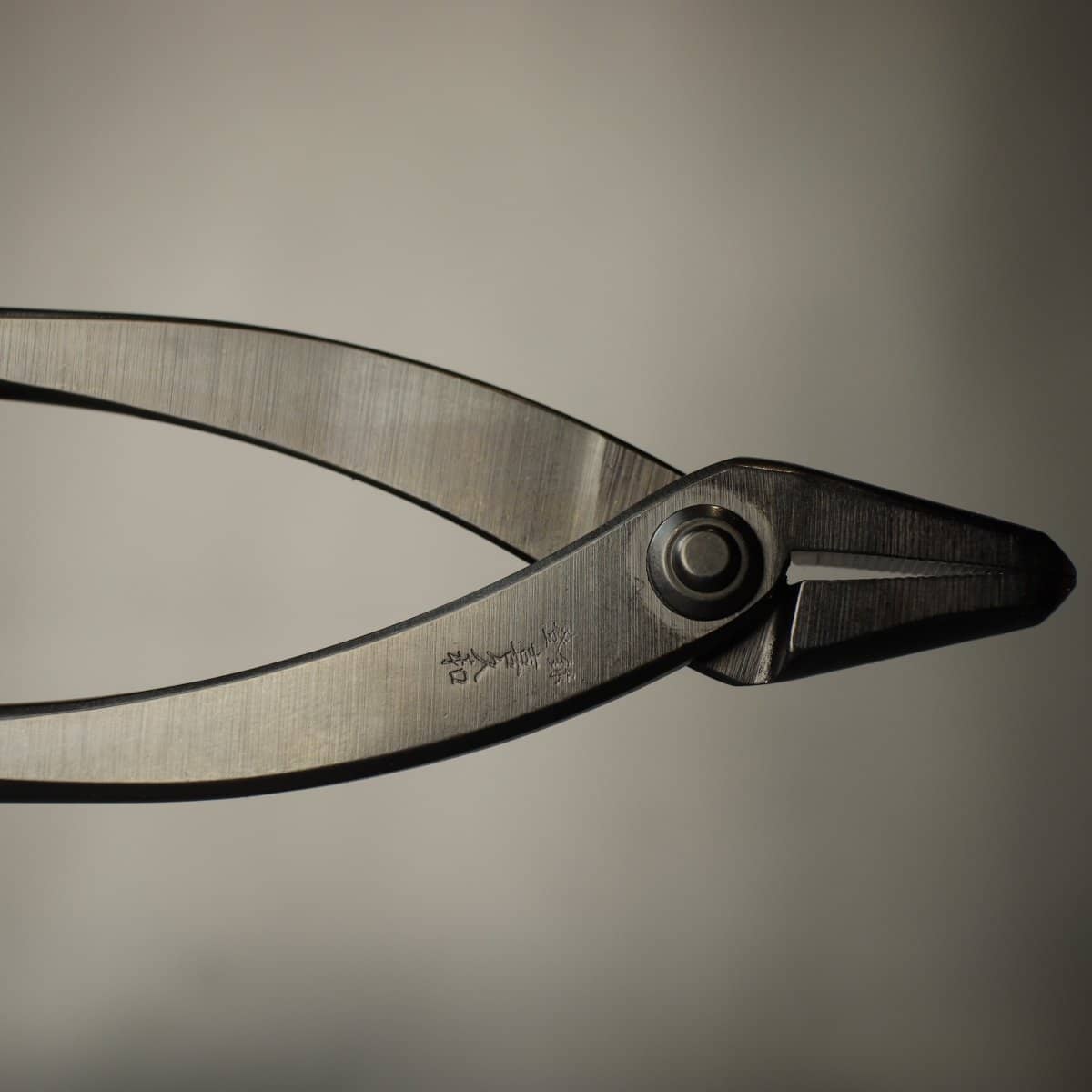 Kikuwa 180mm Professional Bonsai Jin Plier