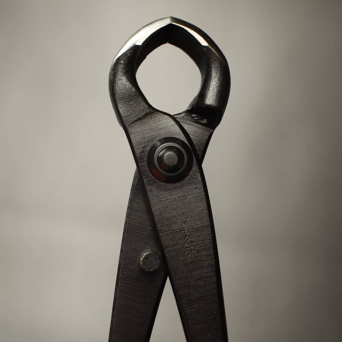 Kikuwa 210mm Professional Bonsai Knob Cutter