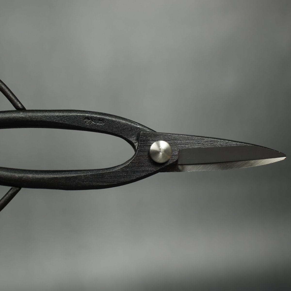 Craftsman Bonsai Scissors