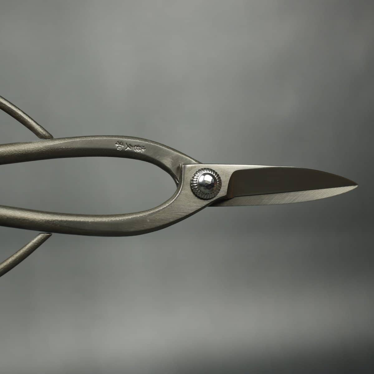 Kikuwa 200mm Fluorine Nickel Plated Bonsai Scissors