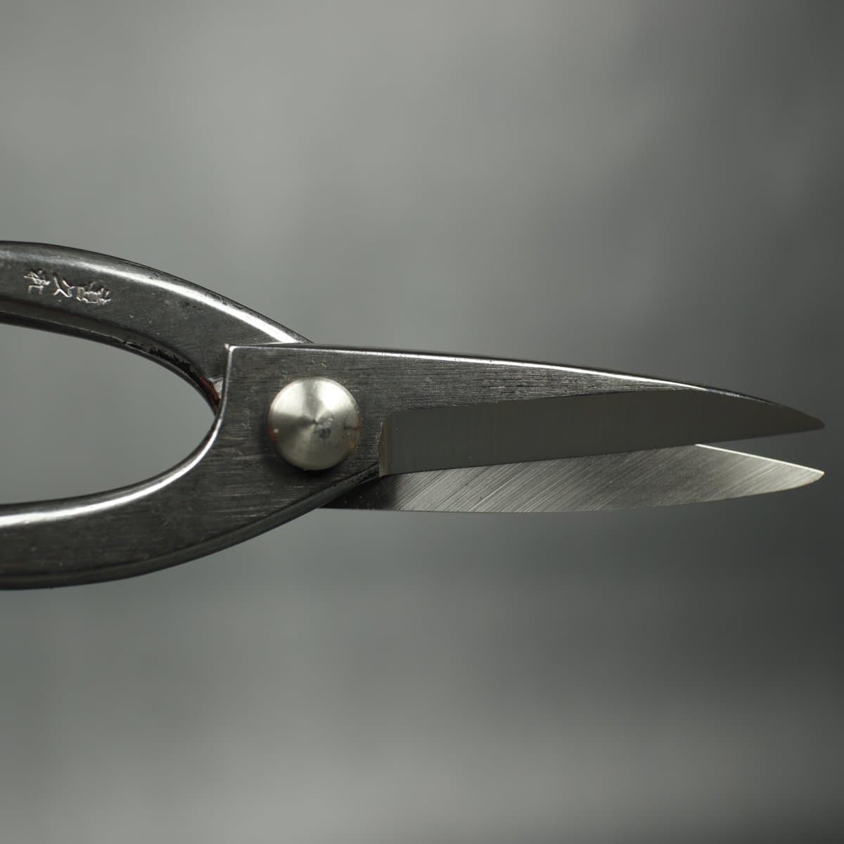 210mm Stainless Steel Bonsai Scissors open blades