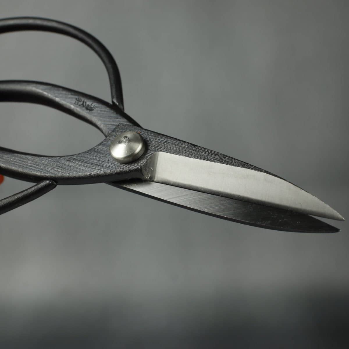 Kikuwa 180mm Aogami Steel Craftsman Professional Bonsai Scissors