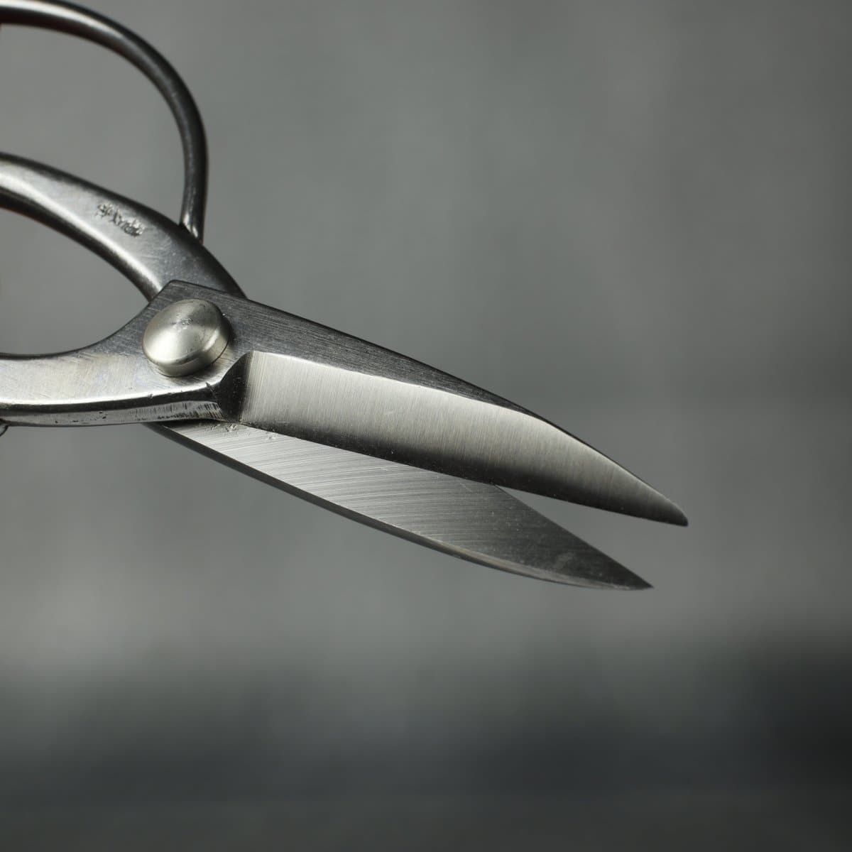 Stainless Steel Bonsai Root Scissors blades