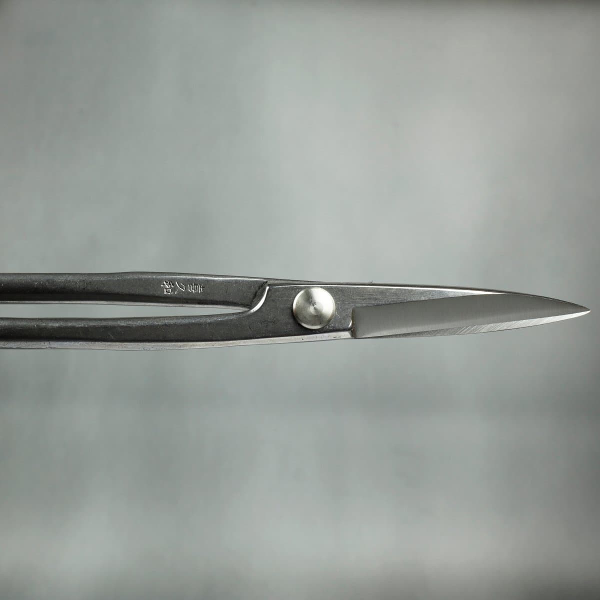 Stainless Steel Bonsai Scissors blades closed