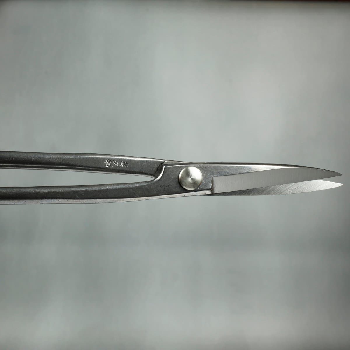 Stainless Steel Bonsai Scissors blades open