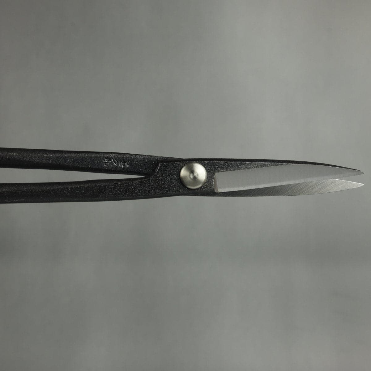Craftsman Professional Bonsai Scissors open blades