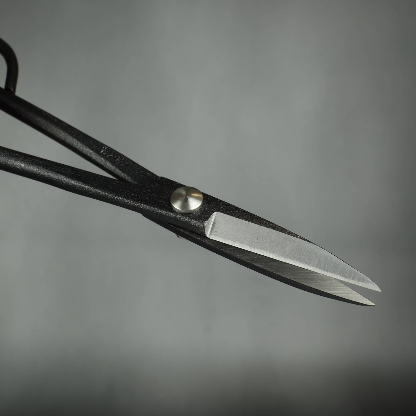 Kikuwa 180mm Aogami Steel Craftsman Professional Bud / Satsuki Bonsai Scissors