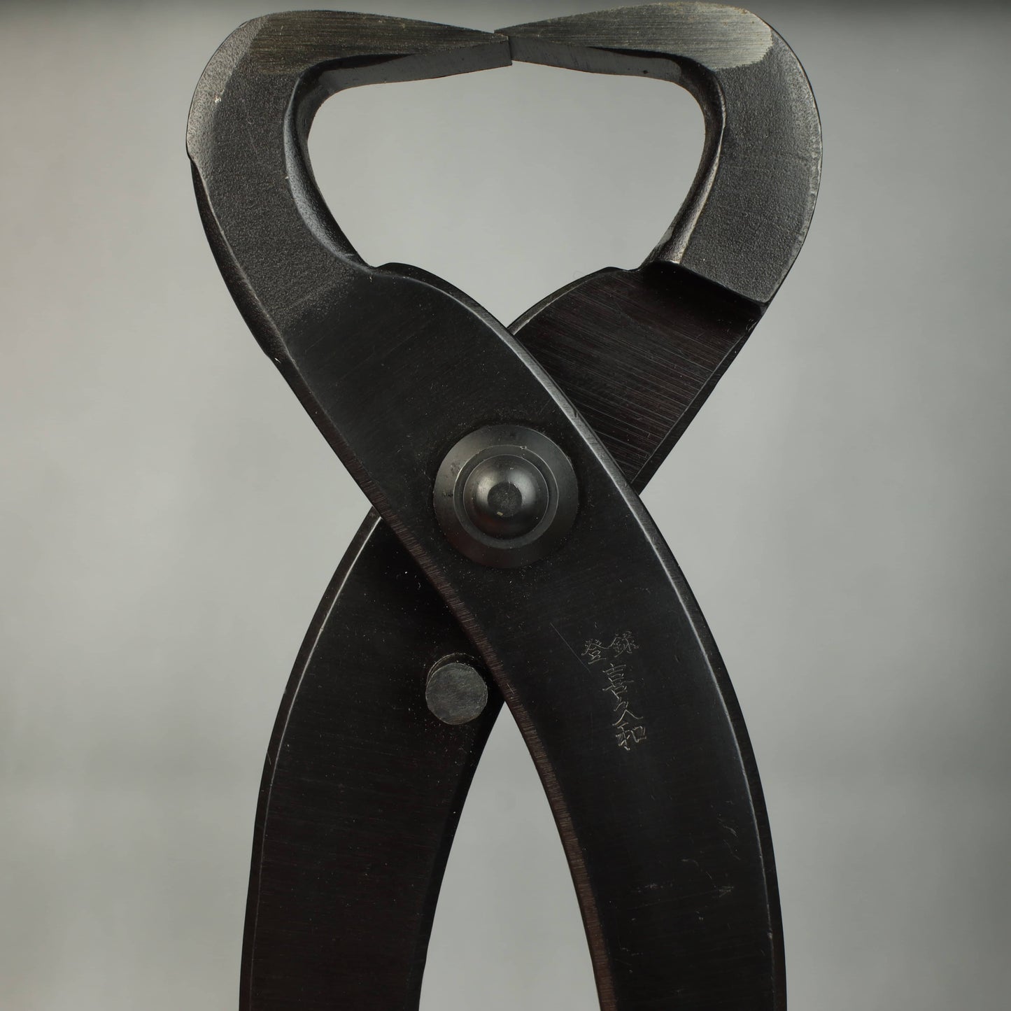 270mm Kikuwa Bonsai Trunk Splitter XL