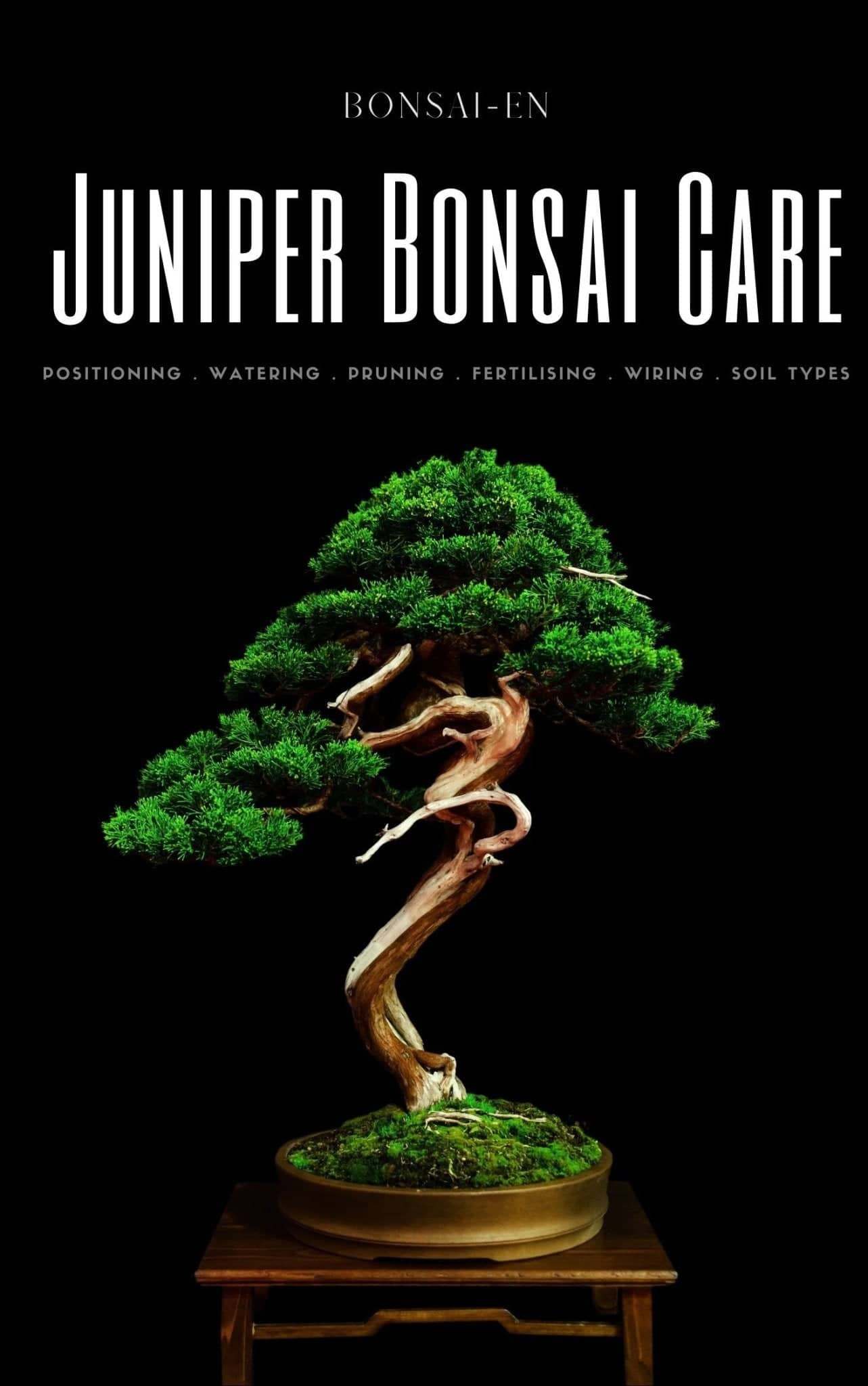Juniper Bonsai Care eBook - Bonsai-En