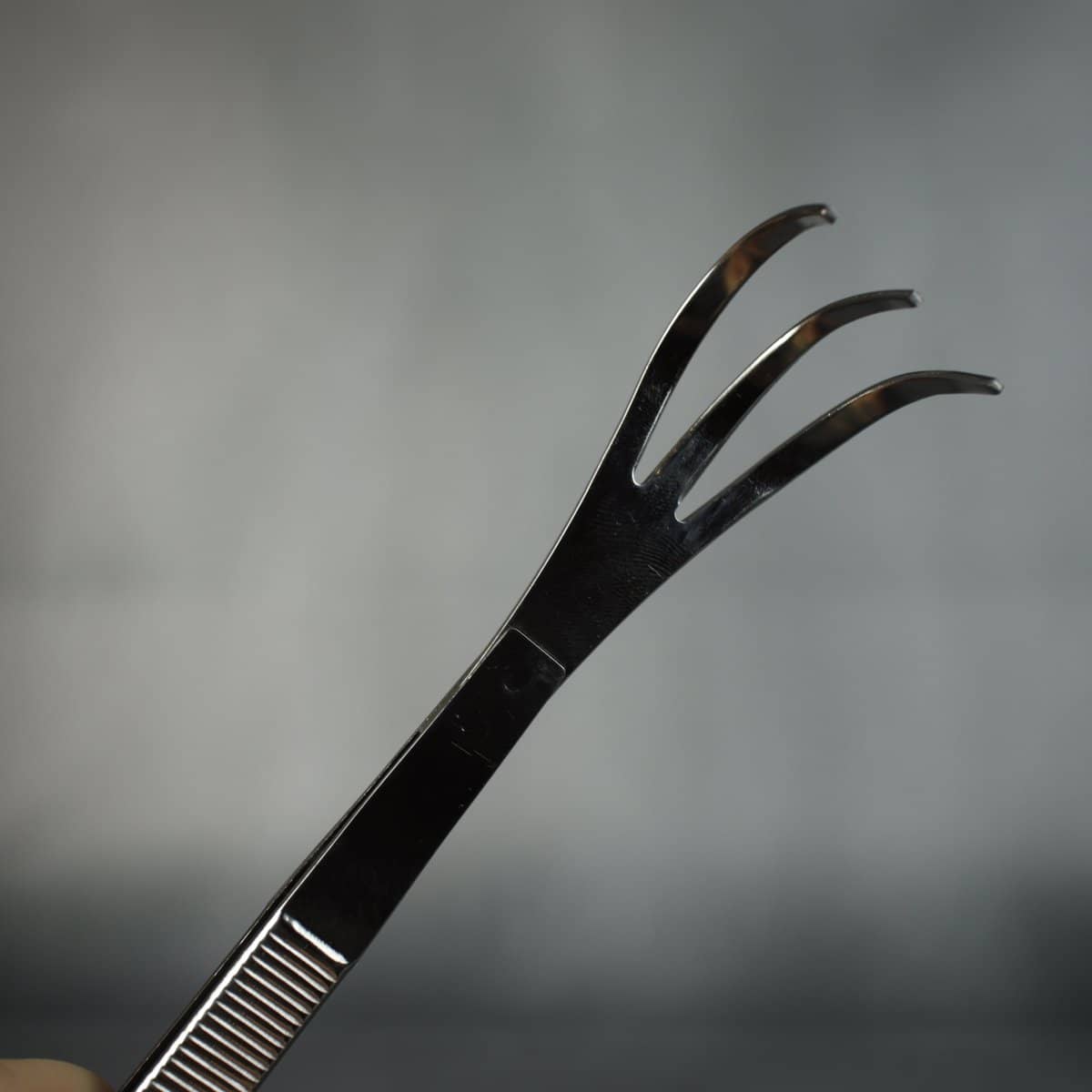 Kikuwa 220mm Bonsai Root Rake With Tweezer - Bonsai-En