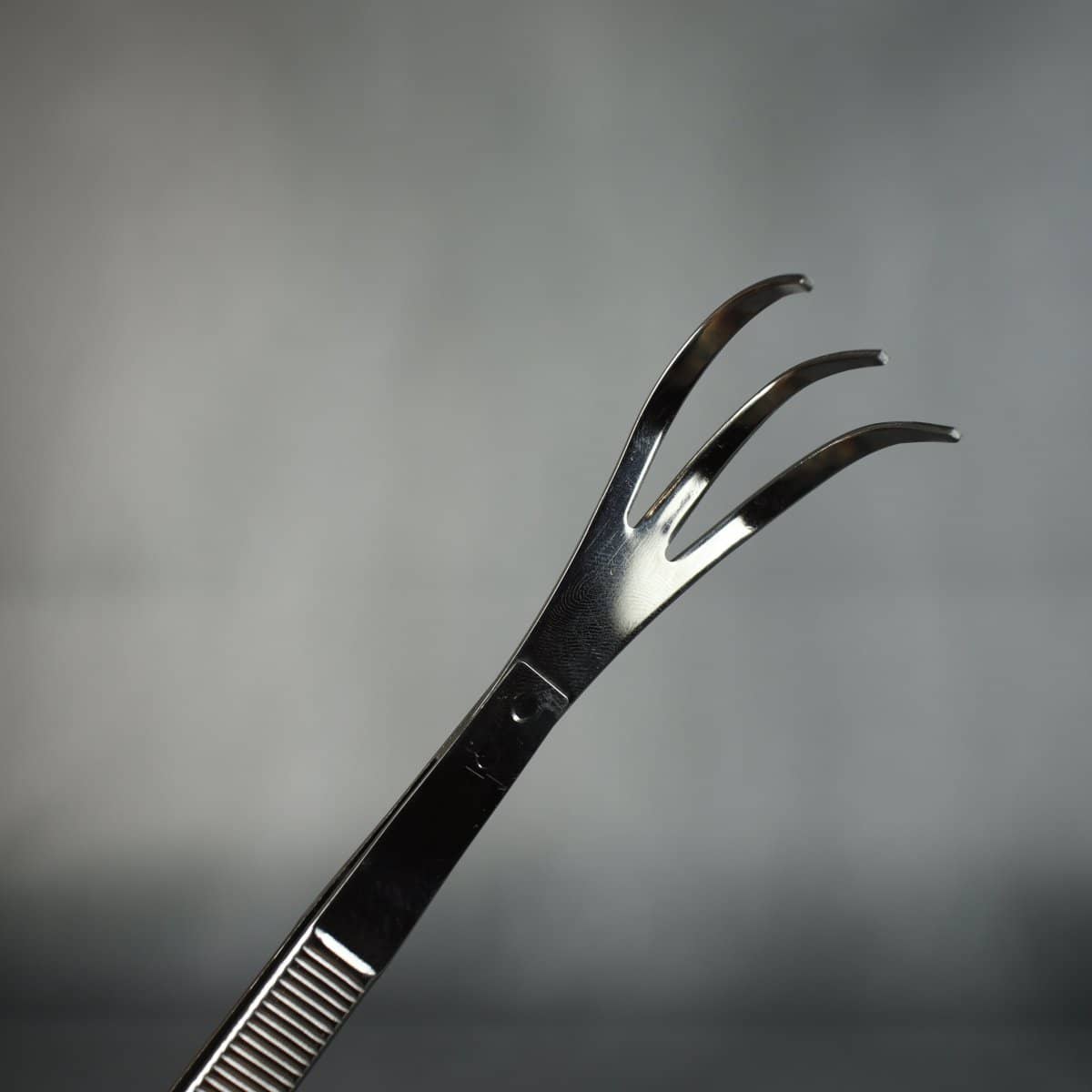 Kikuwa 220mm Bonsai Root Rake With Tweezer - Bonsai-En