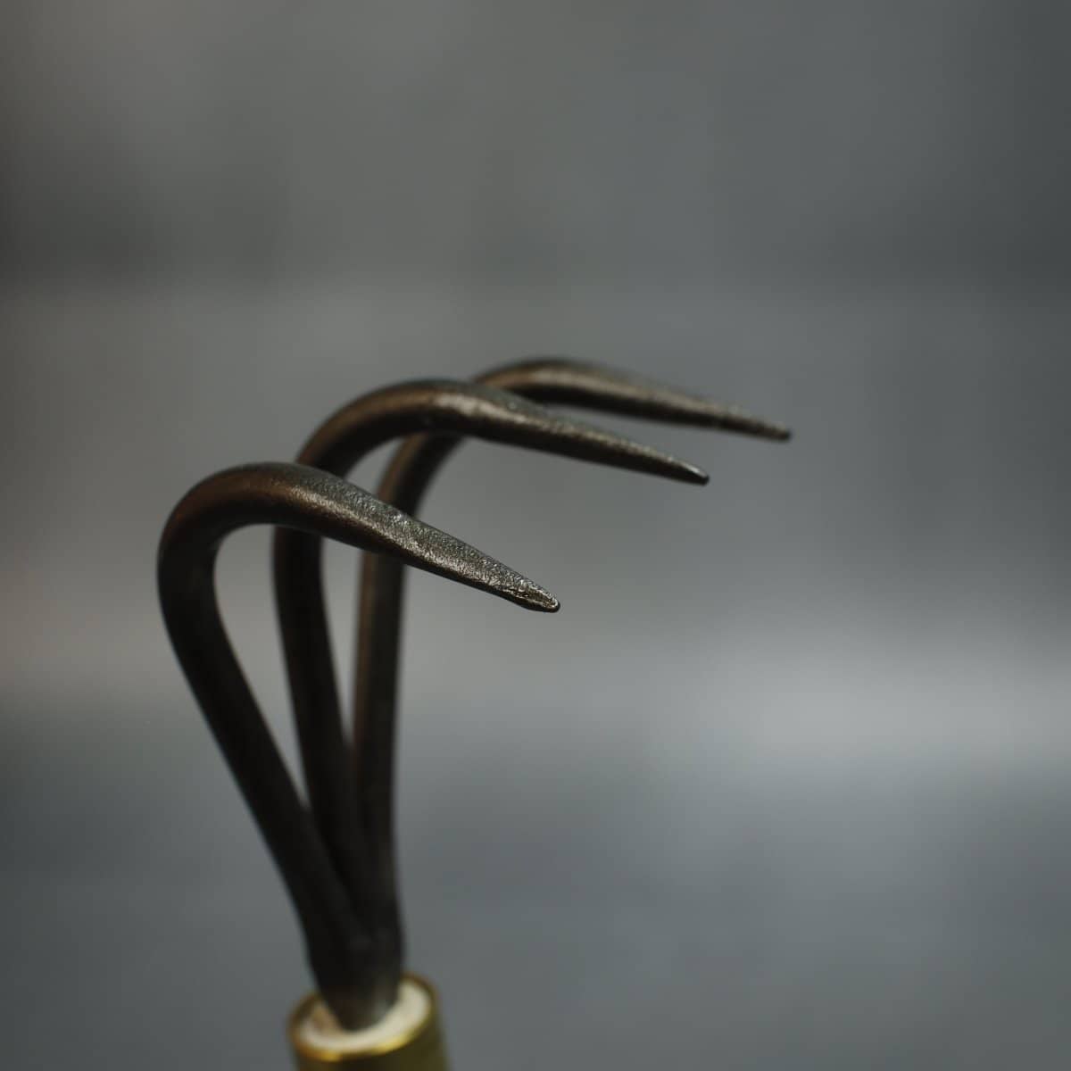 Kikuwa Japanese Triple Root Hook 173mm - Bonsai-En