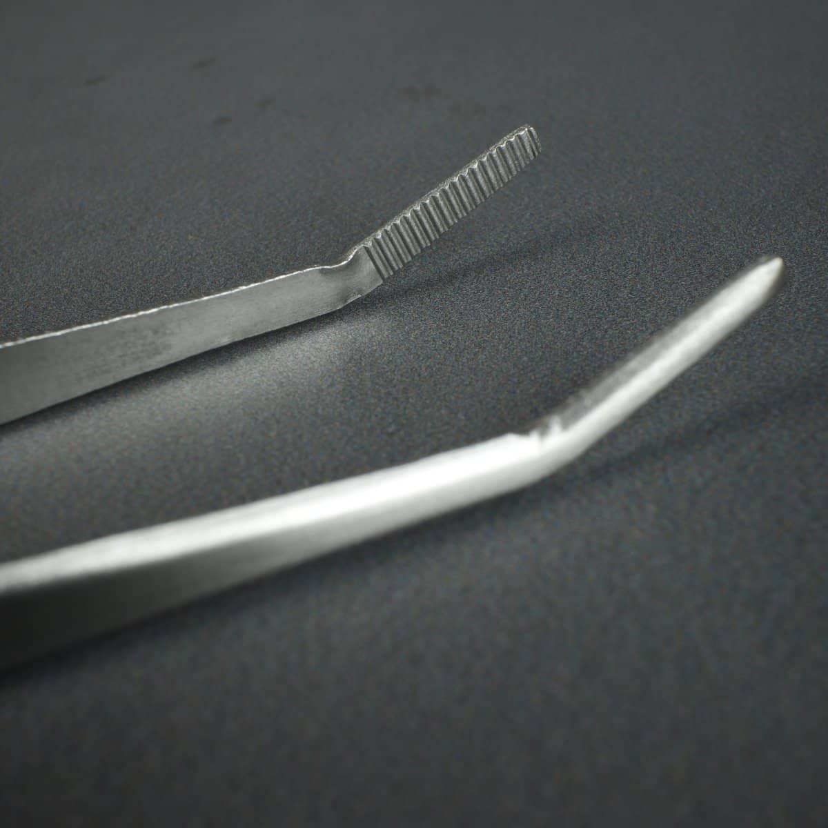 Kikuwa Professional Stainless Down Turned Tweezer / Spatula - Bonsai-En