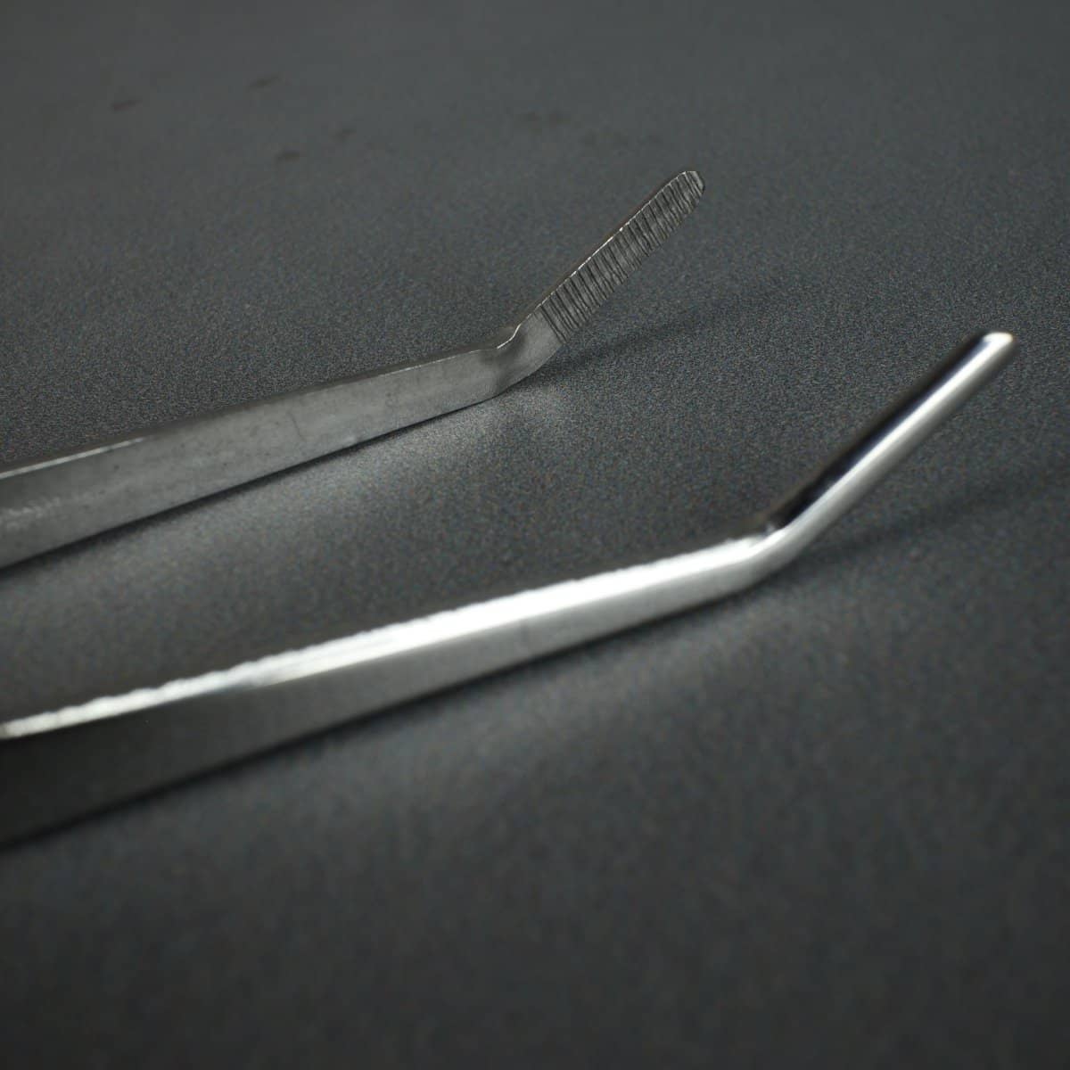 Kikuwa Stainless Down Turned Tweezer / Spatula - Bonsai-En