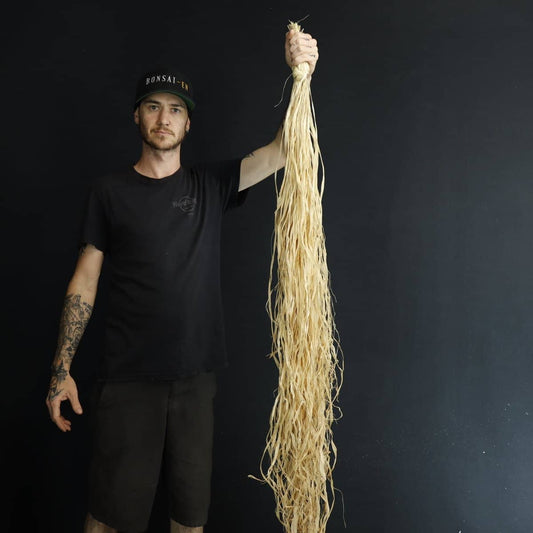 Natural Bonsai Raffia 100g - Bonsai-En