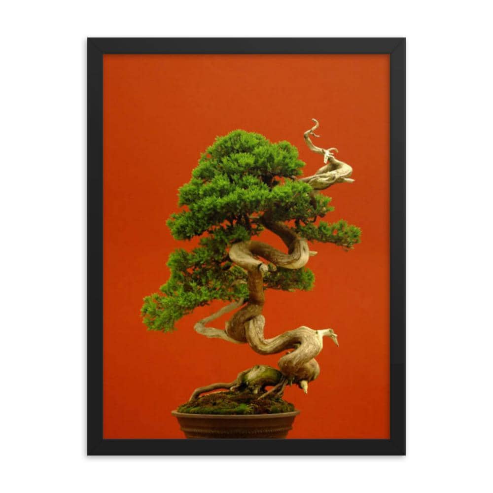 Red Juniper Display Print - Bonsai-En