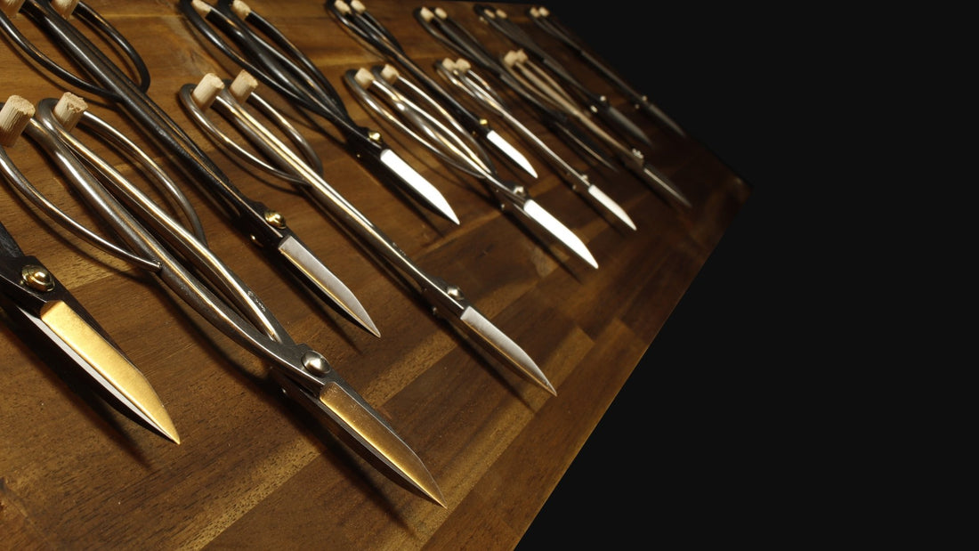 The Ultimate Guide To Bonsai Tools - Bonsai-En
