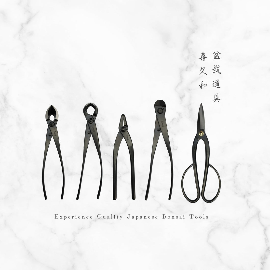 bonsai tools