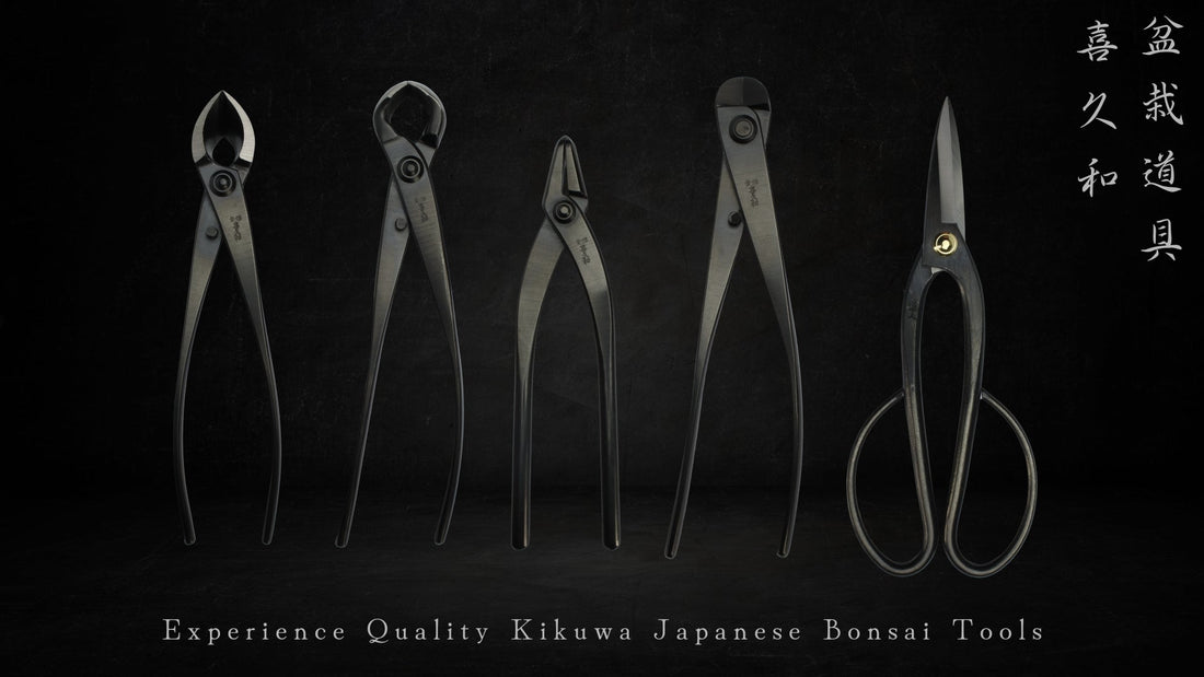 Kikuwa Bonsai Tools