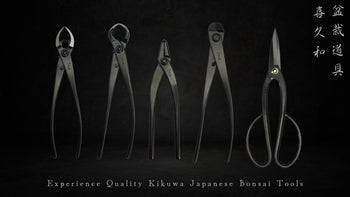 Kikuwa Bonsai Tools – Bonsai-En