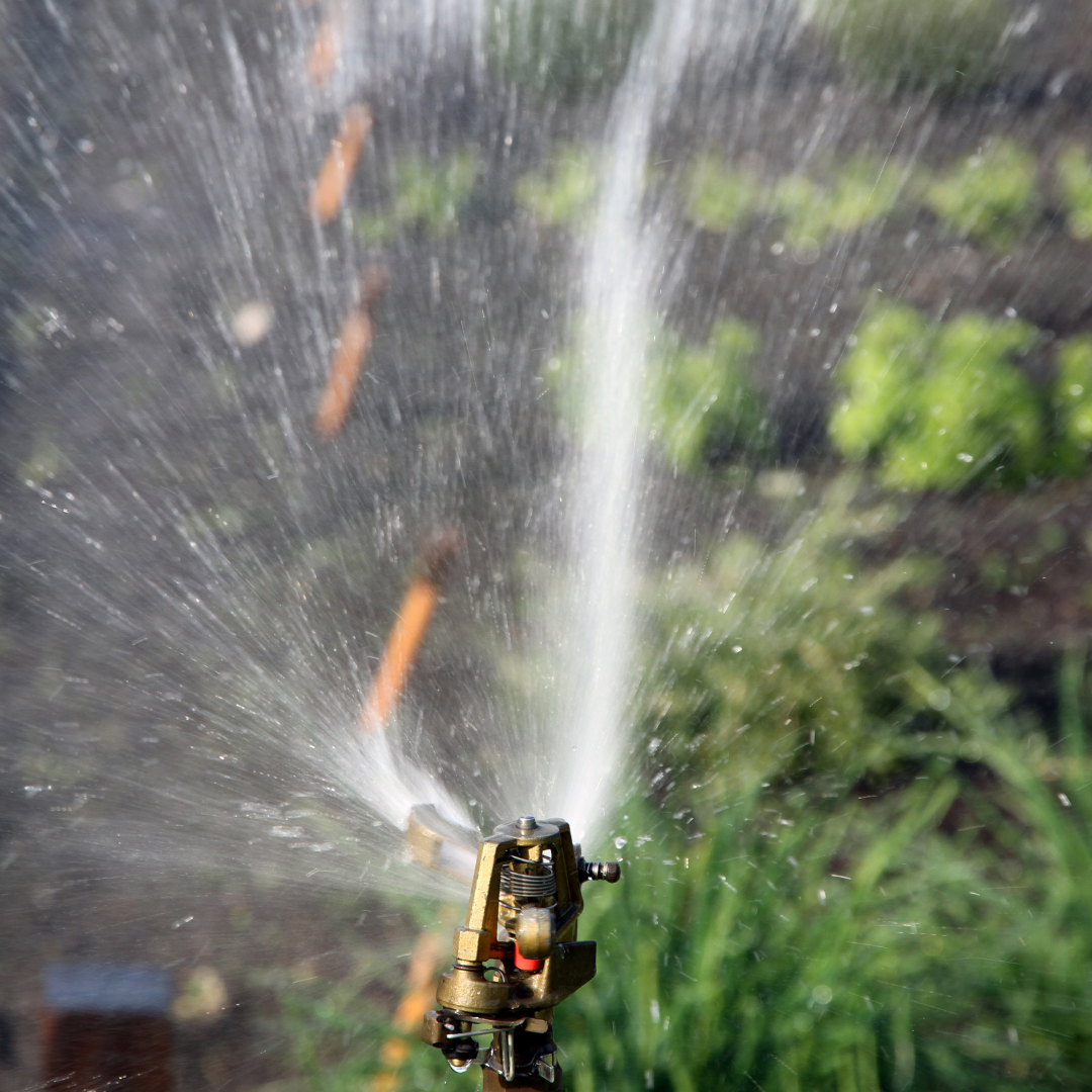 sprinkler system for bonsai
