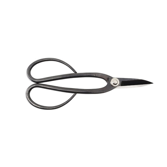 Bonsai Tools Buyers Guide - Bonsai-En